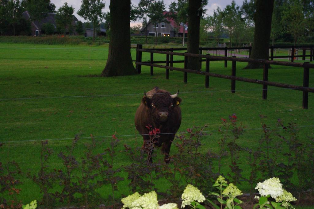 De Langenlee Bed & Breakfast Zwolle  Bagian luar foto